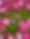 IMG_3817.JPEG