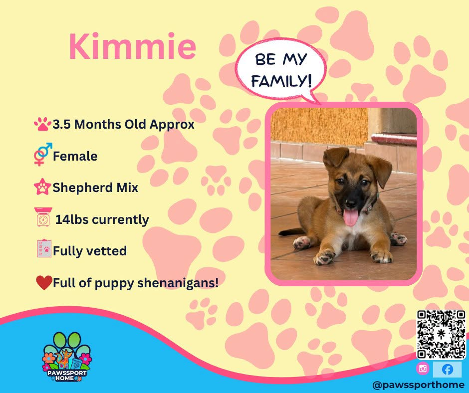 Meet Kimmie! • Female • 3.5 months old • 14 lbs (and growing!) • Currently in Loreto, Mexico Kimmie is at that magical puppy age where the world is one big playground, and she’s looking for her very own humans to explore it with!