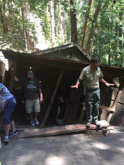 Mystery Spot
