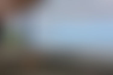 Unique Onsen Experiences in Beppu