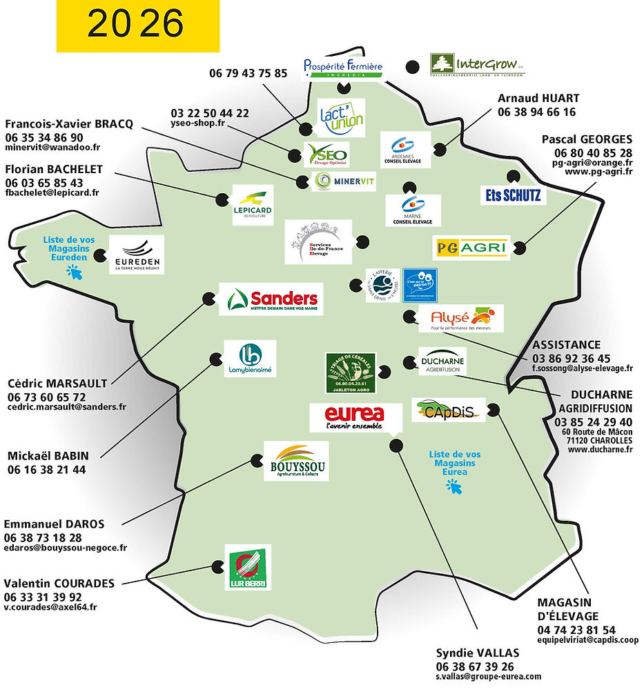 LEST'O---RESEAU-2026-(002).jpg