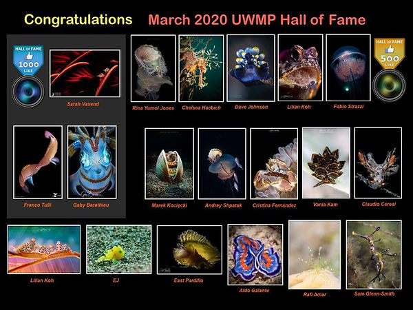 Awards2.jpg
