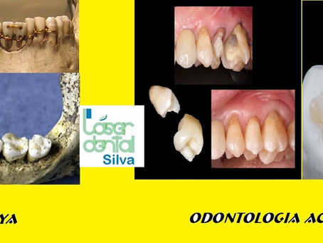 ODONTOLOGÍA MAYA