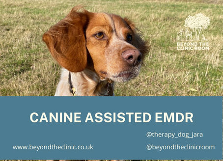 Paws in the past, paws in the present - working with dogs in EMDR Therapy