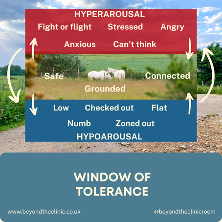 The Window of Tolerance in Trauma Focused Animal Assisted Therapy