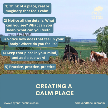 Creating a Calm Place in Equine Assisted Trauma Focused Therapy