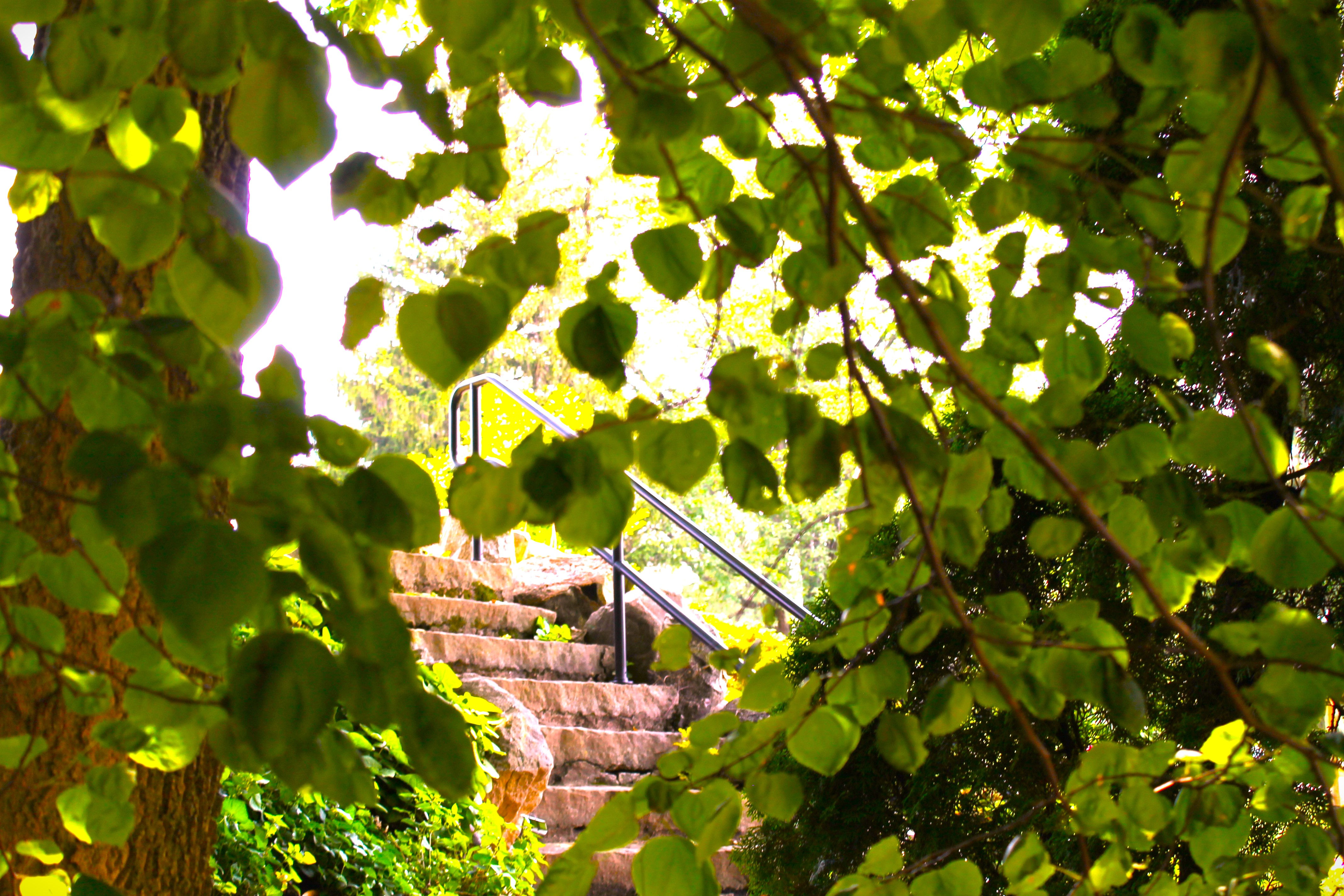 A Journey of a Thousand Miles