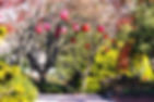 no 19 sights along the trail.JPG