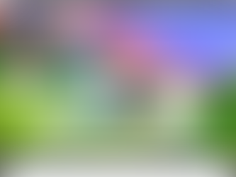 Mac Tips and Tricks: Widgets