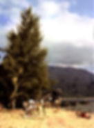 1963 HMS Albion Beach Banyan 1