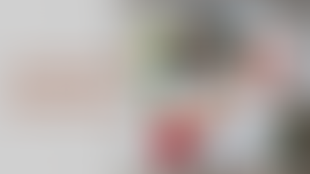 The Whitewashing of American History and Art