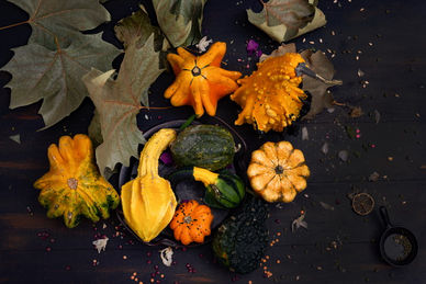 DSC_9029 copia.jpg