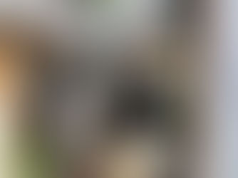 第2回:お花の移動販売「caprise」さんのイベントを開催しました。