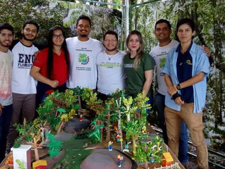 Dia Internacional das Florestas