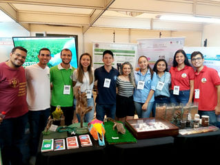 Feira das Profissões - Colégio Equipe