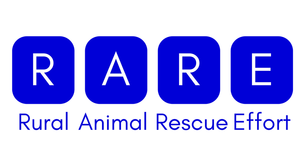 September Newsletter