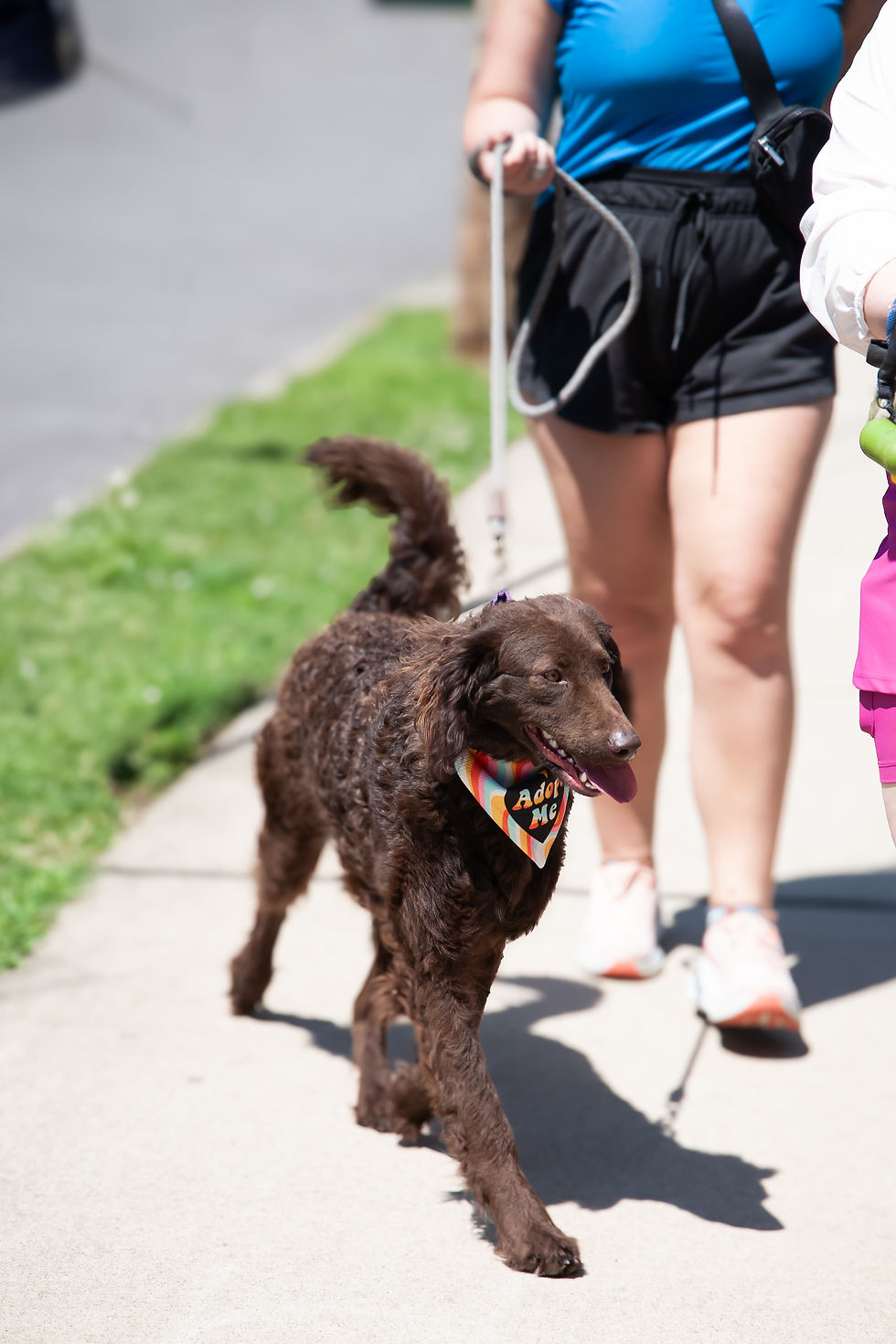 Pups & Pub Crawl at Fat Bottom Brewing
