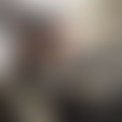 Les nouveautés au jardin participatif