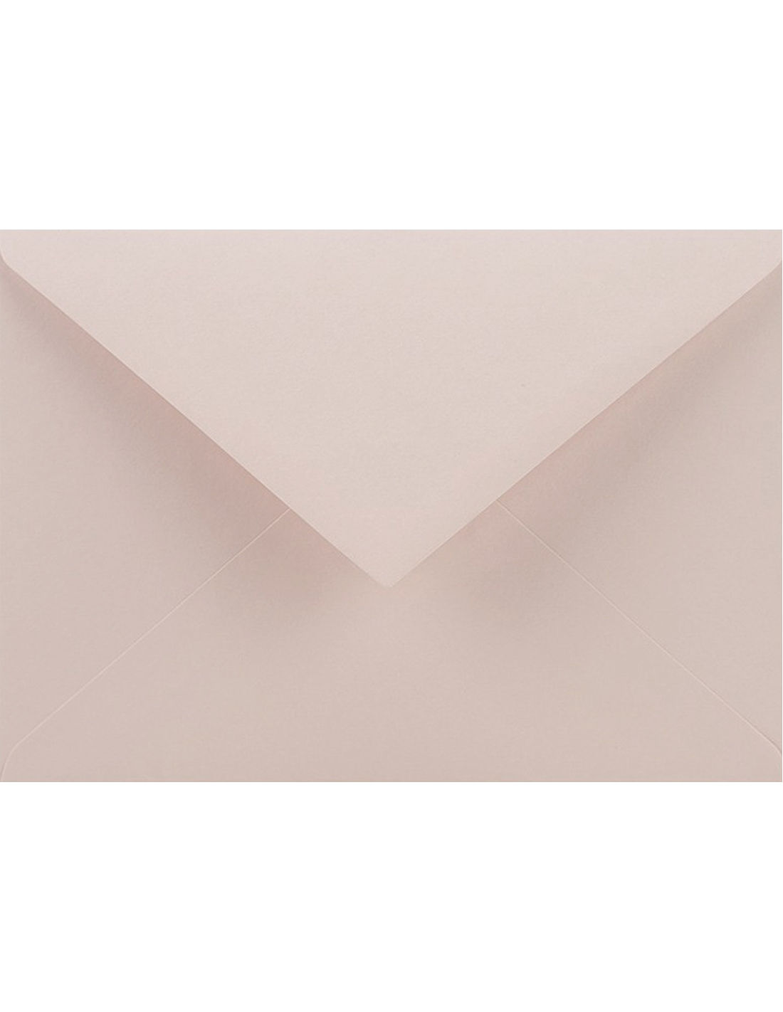 C6 - Nude (rusvos sp.)