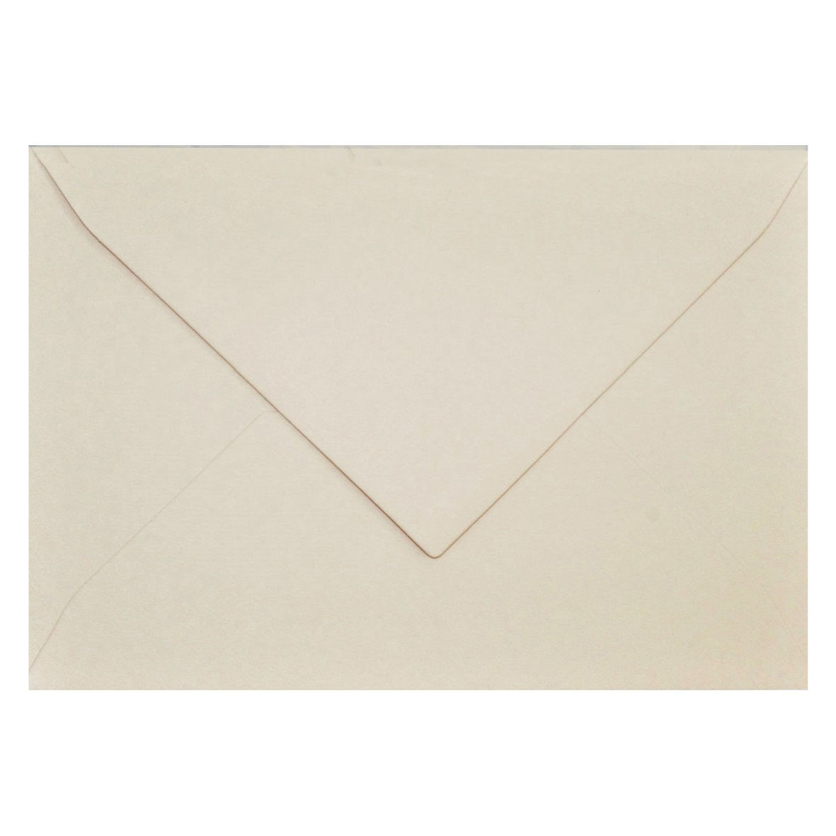 B6 - Biscuit (smėlinės sp.)