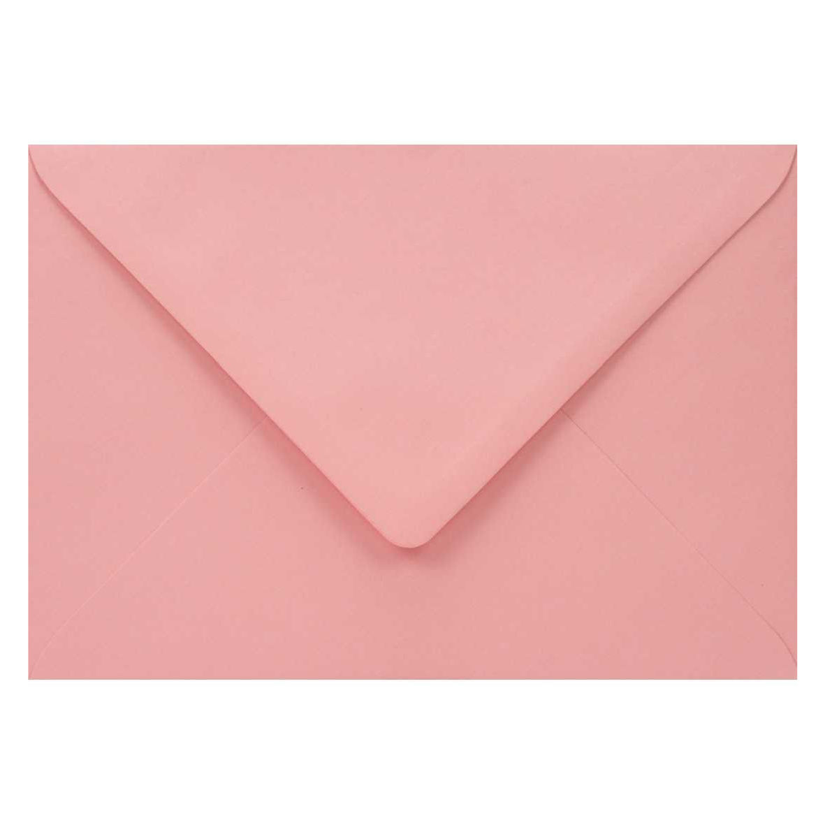 B6 - Rose (rožinės sp.)