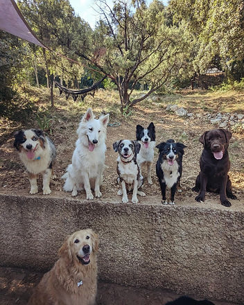 Only's Friends (3).jpg