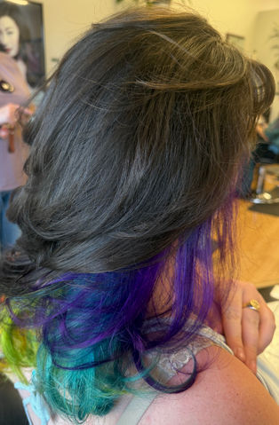 Back view of dark hair with blue and purple peekaboo color underneath