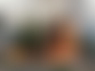 ВНИМАНИЕ! Введен режим Чрезвычайная ситуация