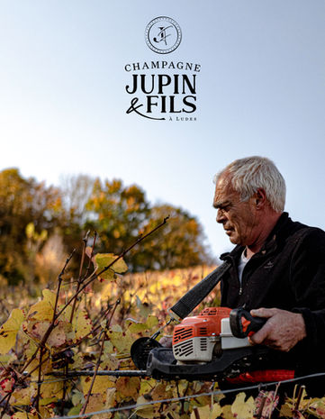 Pré-Taillage de la Vigne