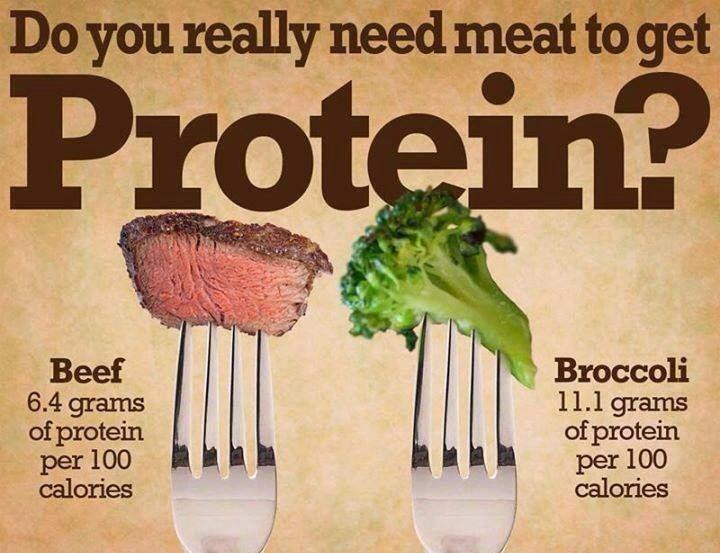 How to Get More Protein in Your Diet Without Eating Meat!