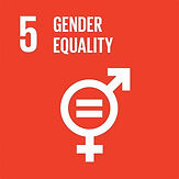 SDG 5.jpg