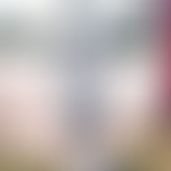 קיר הברזל כעדשה לפרשנות המציאות: מסגור המצב הביטחוני-פוליטי בתחום ההפסד | ד"ר ענבל הקמן