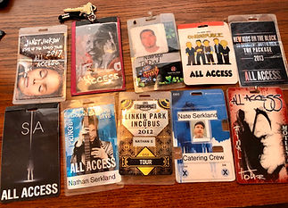 Private Chef for Popular Bands