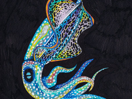 Pride Squid