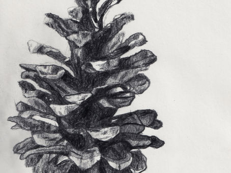 Left handed drawing, 6B graphite on paper.
