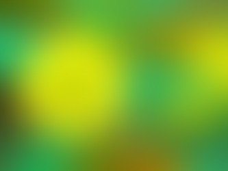 3. Rất cần mọi người xác định sao cho thật minh xác [đối với] các bước đi ban đầu trong "phối hợp về chỉnh thể"