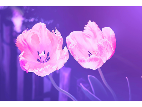 Hạng Mục Tổng Hợp và Truyền Thông Những Góp Ý & Sáng Kiến Hữu Ích Nhất Cho Phối Hợp Về Chỉnh Thể