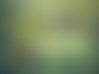 Vạn vật đều có linh (theo vn.minghui.org)