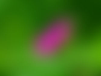 Câu chuyện tu luyện của Phật Milarepa (Phần 2) - Theo vn.minghui.org