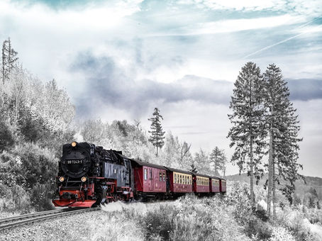 Dự ngôn và Thiên Ý (theo vn.minghui.org)