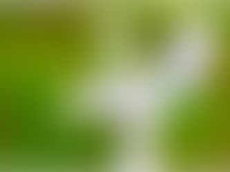 20. Làm thôi, mọi người ơi !