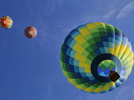 Sư phụ để cho tôi nhìn thấy một đóa liên hoa (theo vn.minghui.org)