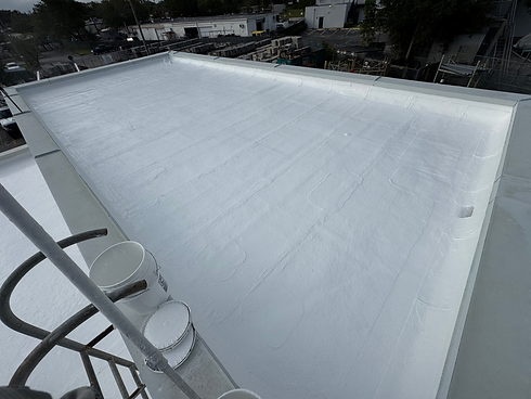 SILICON ROOF.HEIC