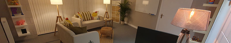 Tweedbank Consulting Room_edited.jpg