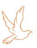Diseño sin título.png