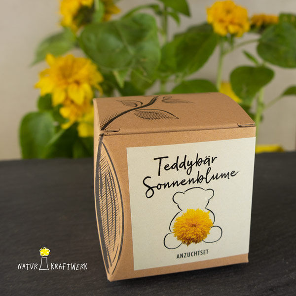 Miniaturbild: Teddybär Sonnenblume