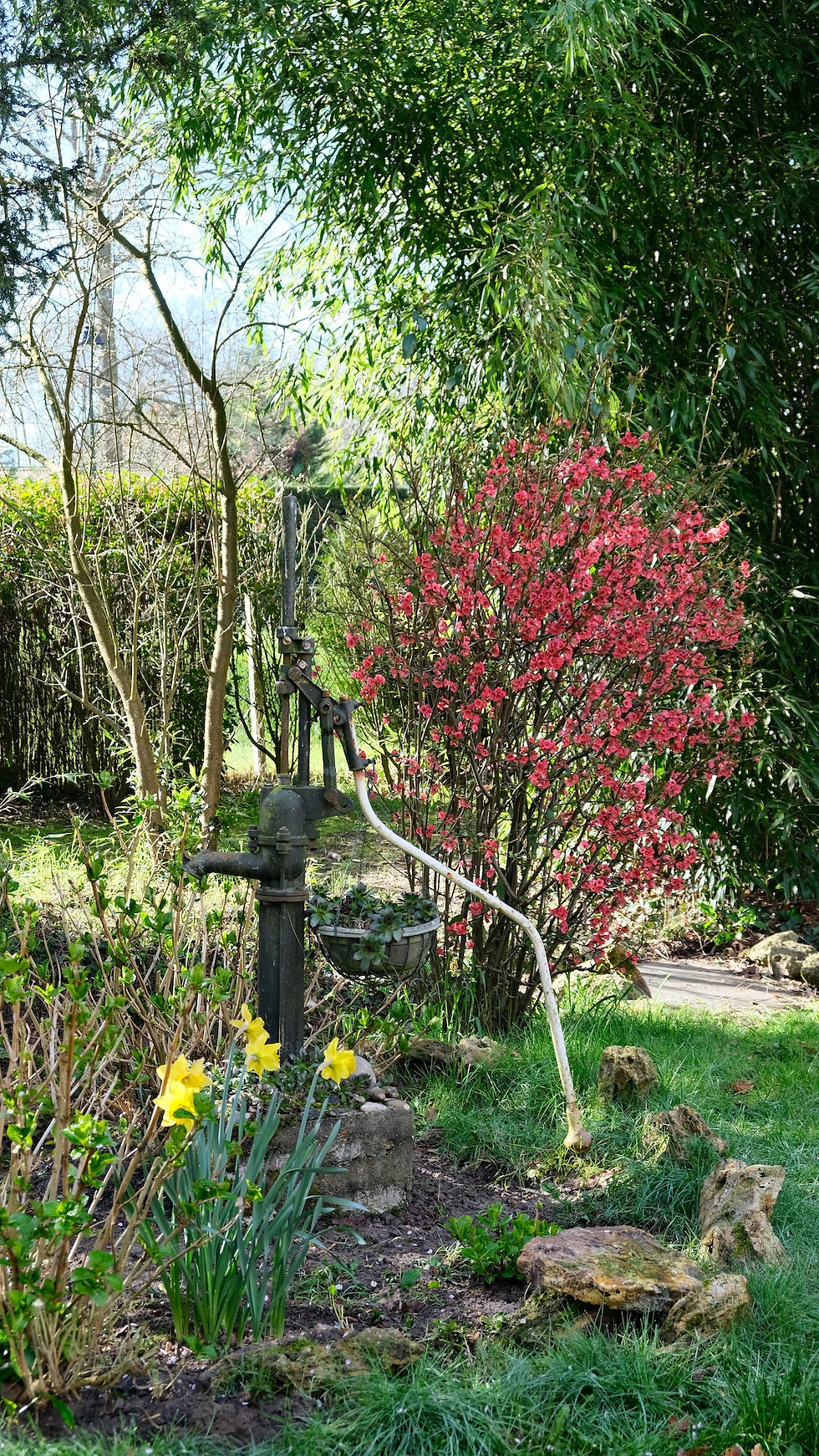 Les Frères Garden, experts paysagistes