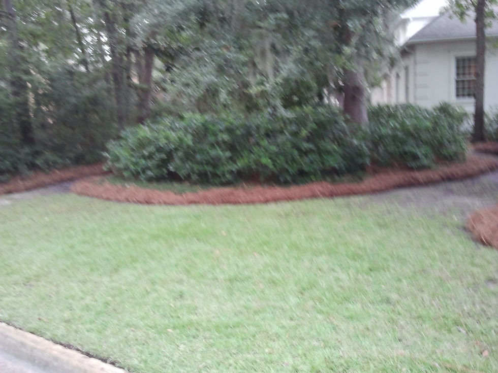 2012-10-18 17.55.49