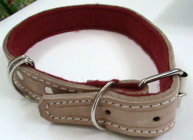 COLLARES
