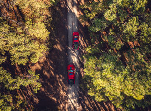 TopDown